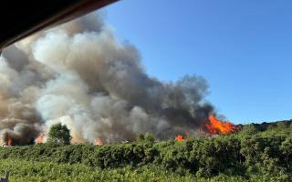 50 firefighters were called to the blaze near Winfrith