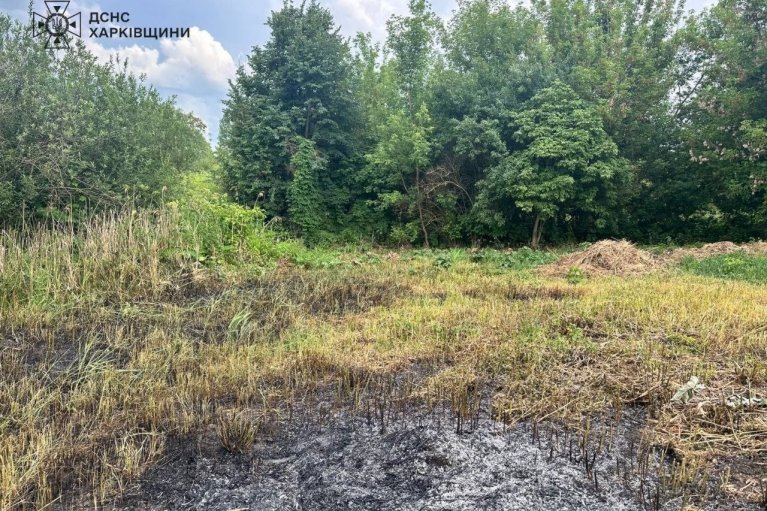 Хотела выжечь сухую траву: в Харьковской области при пожаре погибла женщина