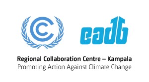 ANALYZING THE POTENTIAL FOR DEVELOPMENT OF CARBON PRICING APPROACHES IN JURISDICTIONS IN THE EASTERN AND SOUTHERN AFRICAN REGION