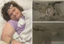 Bed-bound stroke survivor Kerry Lee says black mould is spreading through her Peabody flat in Bethnal Green