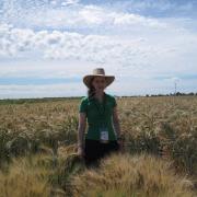 John Innes Centre plant scientist Diane Saunders, who has been made an OBE