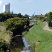 Bawsey Drain in King's Lynn, where 72-year-old Kevin Donger drowned