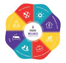 wellness-wheel-final.jpg