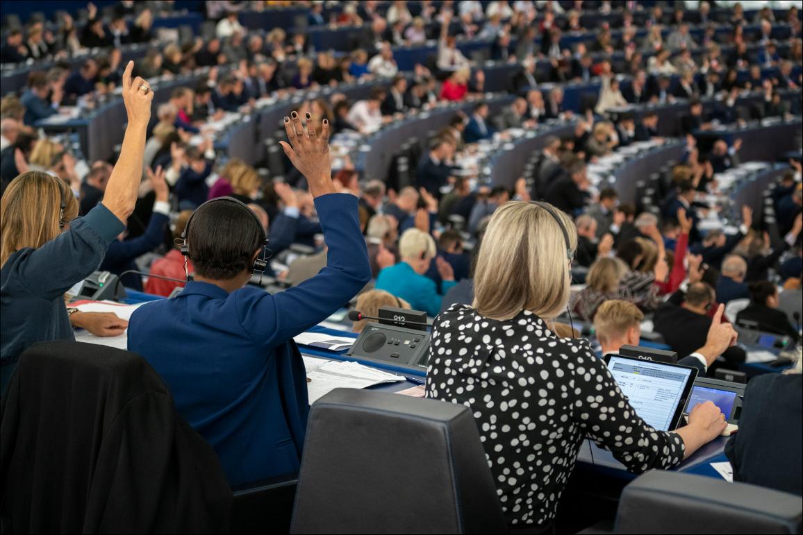 Photo of voting in plenary