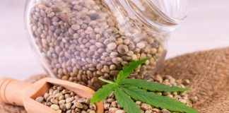 cannabis seed in a glass jar