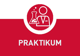 PRAKTIKUM