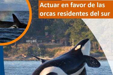 Actuar en favor de las orcas residentes del sur