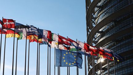 Les drapeaux des Etats membres de l'Union européenne, devant le Parlement européen à Strasbourg, le 23 avril 2024. (FREDERICK FLORIN / AFP)