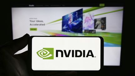 L'entreprise Nvidia dont le nom veut dire "envie" en latin, est peu connue du grand public. (IMAGEBROKER/TIMON SCHNEIDER / IMAGEBROKER.COM)