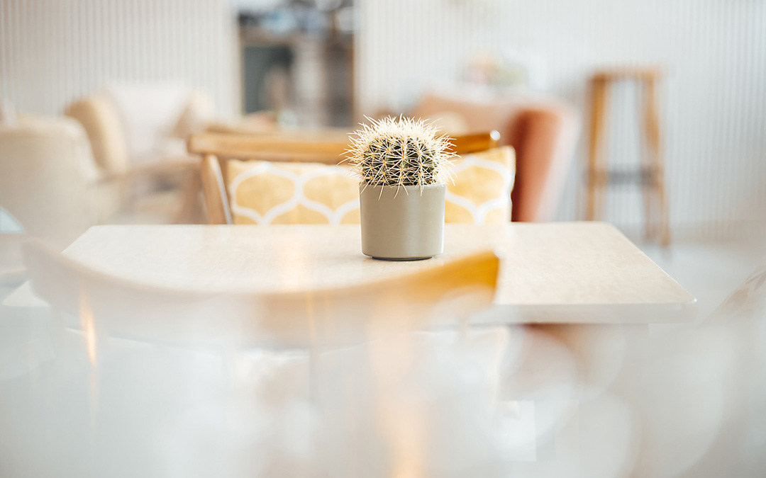 kleiner Kaktus auf Tisch