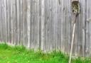 What can I do if my neighbour is leaning things on my fence?