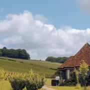 Wiston Estate's quintessential English landscape. Image: Wiston Estate