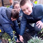 Pupils planting trees at Mary Magdalen's School  in Willesden