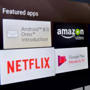 Netflix can be found on most smart TVs but as of July the app is set to be removed from 42 Sony TV models.