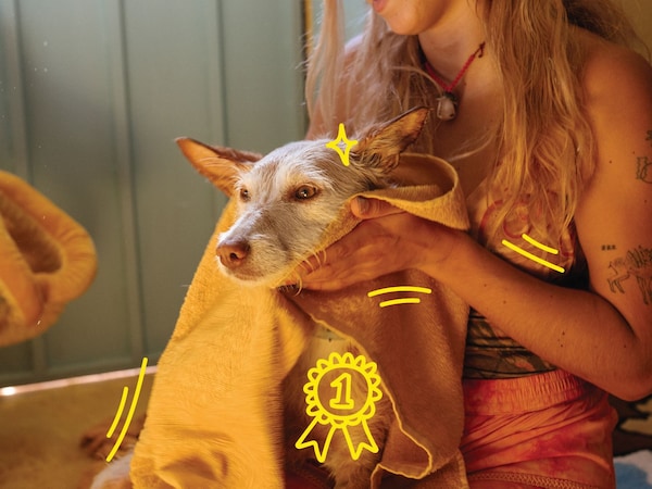 A woman drying a dog using a yellow VÅGSJÖN towel.