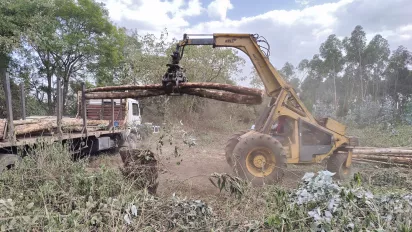 Photo of a crane picking up a tree log
