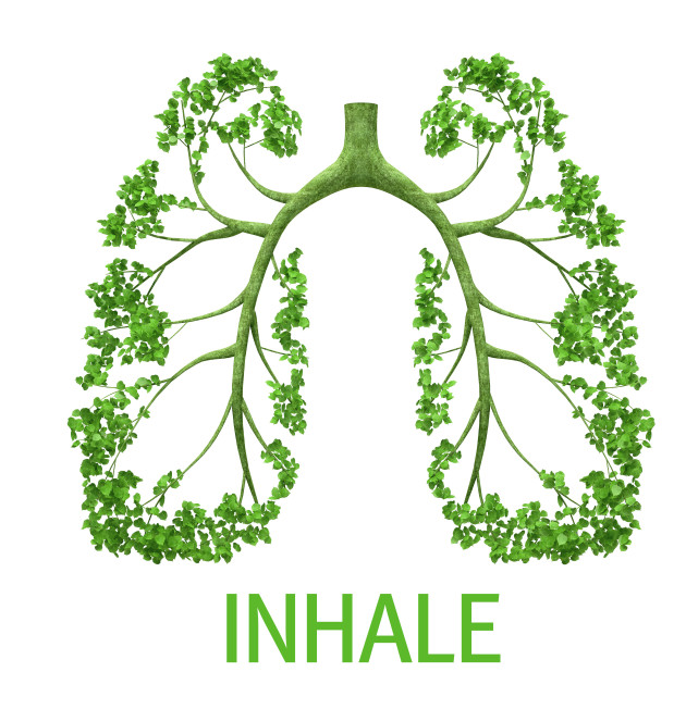 Green lung in form of tree with word INHALE