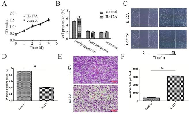 J Cancer Image