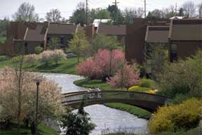 Student housing along Newman Lake.