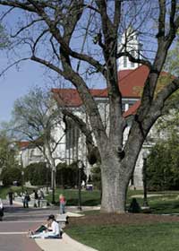 Students in front of Wilson.