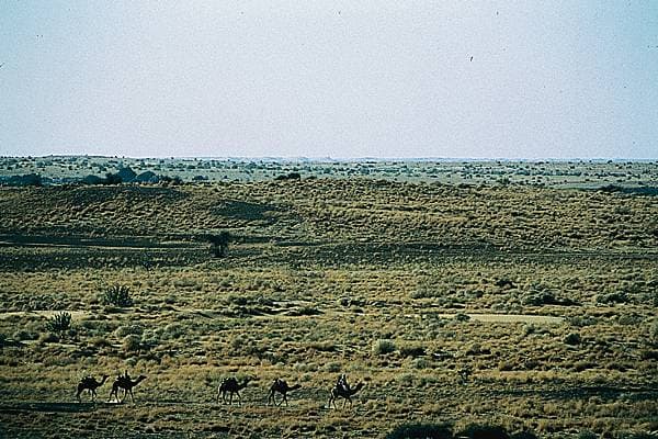 Désert de Thar