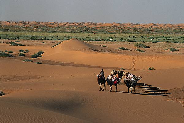 Désert de Gobi