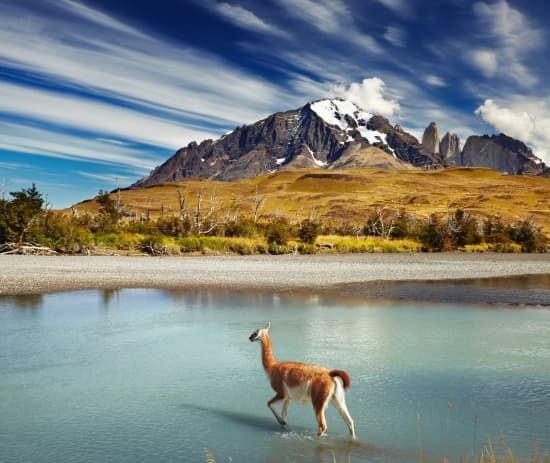 Parc national du Paine