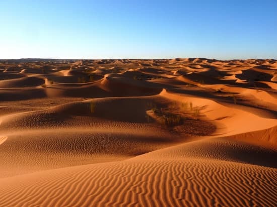 Dunes du désert