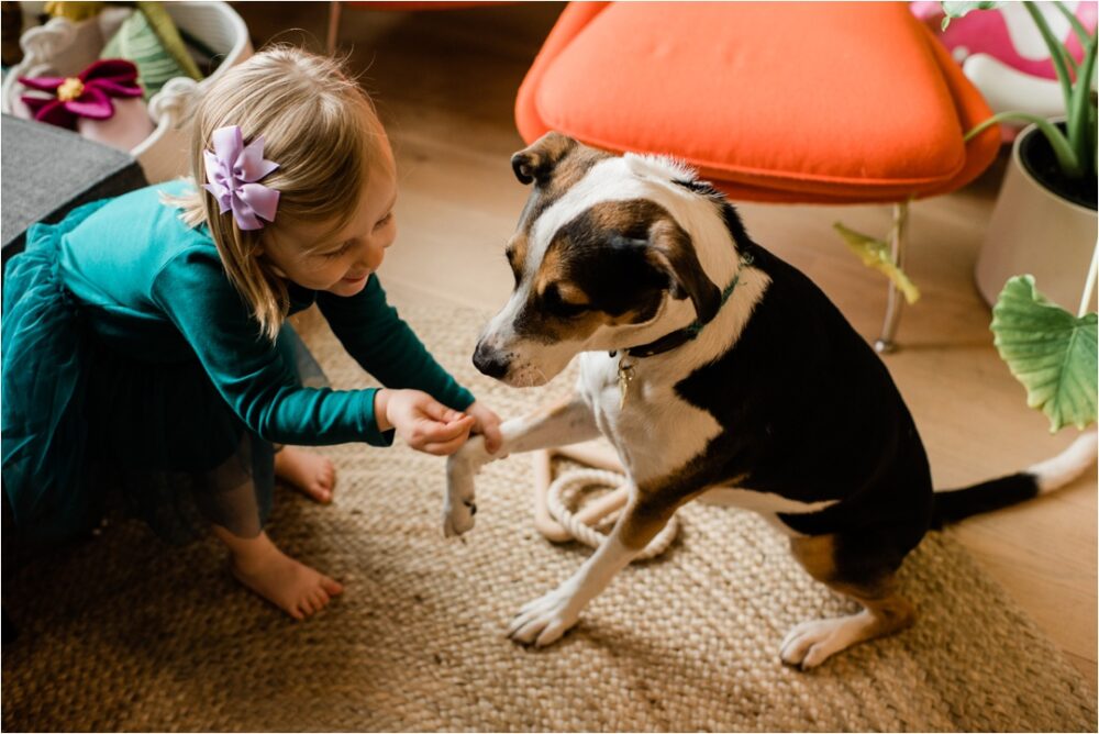 toddler training dog