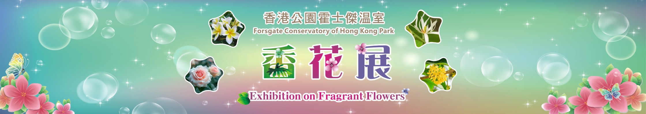 Fragrant Flowers Exhibition at Hong Kong Park