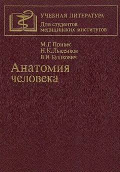 Михаил Привес - Анатомия человека [9-изд]