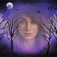 Effet photo - Halloween dark forest