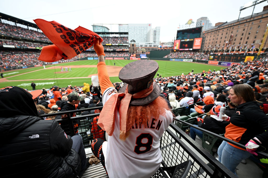 Orioles fan