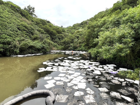 志清電廠油污水外洩持續清理　環資局：依法開罰