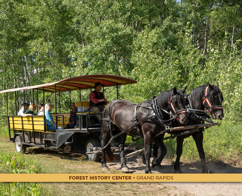 Forest History Center.