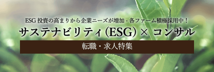 ƥʥӥƥSDGs/ESG˥󥵥륿 žý