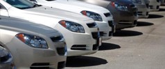 The front ends of several cars in a row