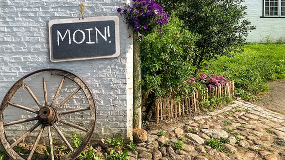 Auf einem Schild, das an einer Hauswand hängt, steht "MOIN". © Christine Raczka / Colourbox Foto: Christine Raczka / stockwerk fotodesign