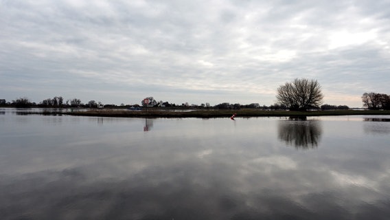 Hochwasser an der Elbe bei Bleckede, im Wasser spiegeln sich die Wolken und die Silhouetten der Bäume vom Ufer. © NDR Foto: Anja Deuble