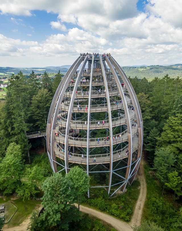 Baumei und Baumwipfelpfad  Erlebnis_Akademie_AG_Baumwipfelpfad_Bayerischer_Wald