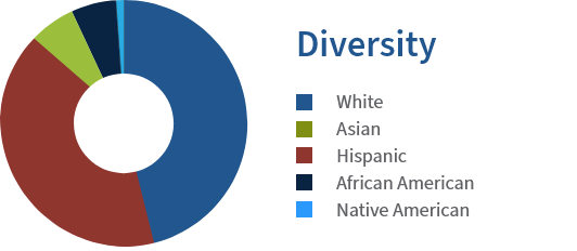 Donut chart showing typical student diversity.