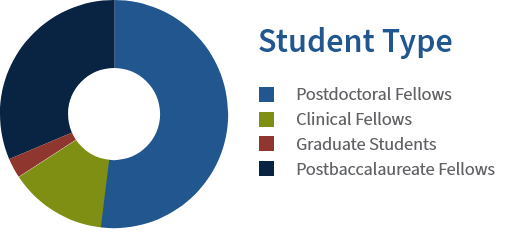 Donut chart showing typical ratios of different student types.