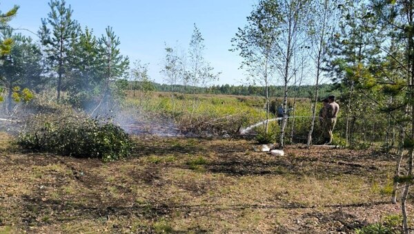 В Московской области начали гореть торфяники