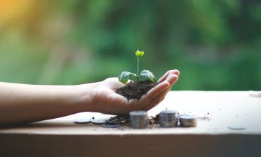 hand holding a small plant