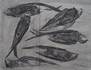 Charcoal swifts