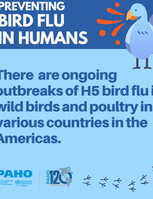 Bird Flu