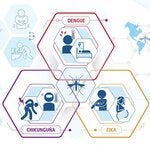 Definiciones de caso, clasificación clínica y fases de la enfermedad Dengue, Chikunguña y Zika