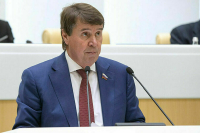 Сенатор Цеков: Зеленский не считает Украину своей родиной