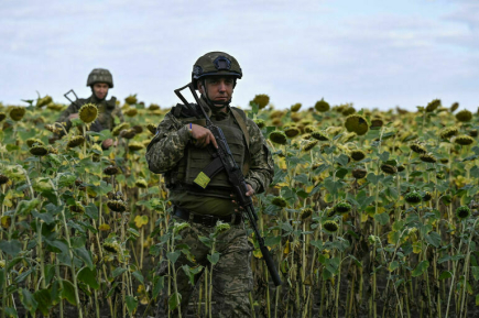 В Саратовской области опровергли заход украинской ДРГ