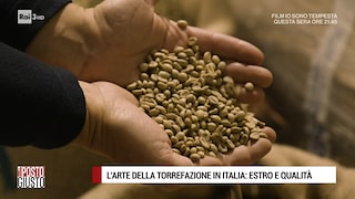 L'arte della torrefazione in Italia: estro e qualità - 13/02/2021 - RaiPlay